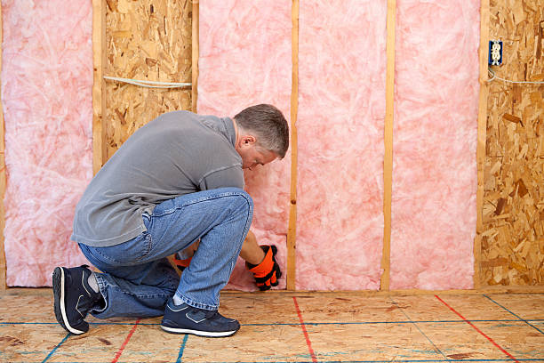 Best Commercial Insulation in Waterloo, IN